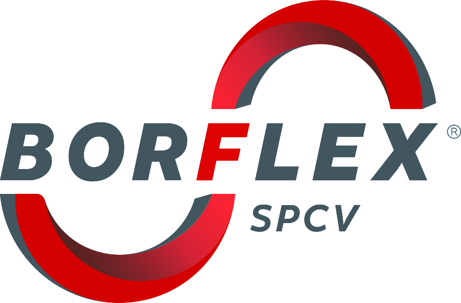 BORFLEX SPCV